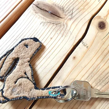 Schneehase 10min - Kreischberg * Stadl an der Mur